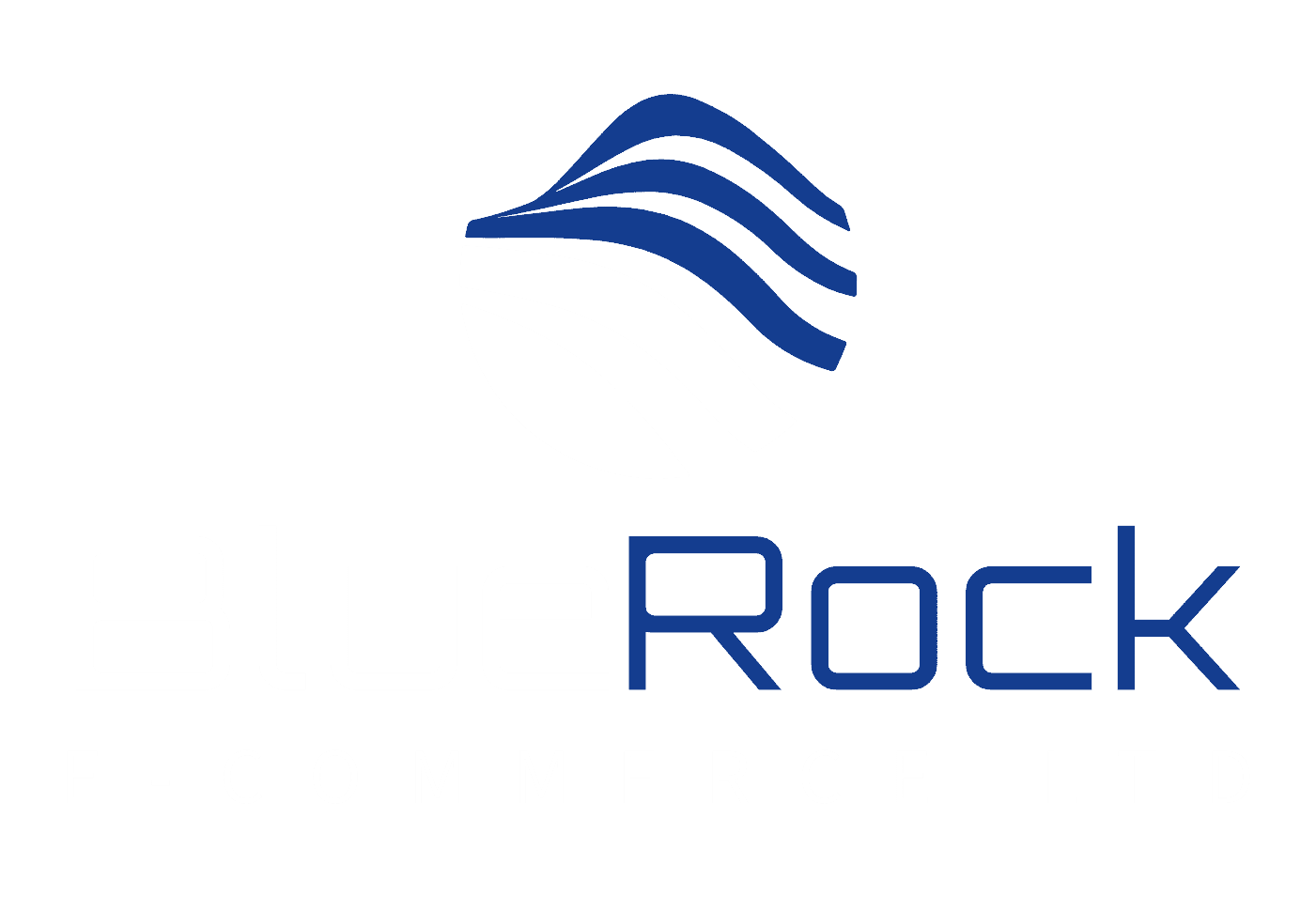 Blue Rock E-commerce Ltd.